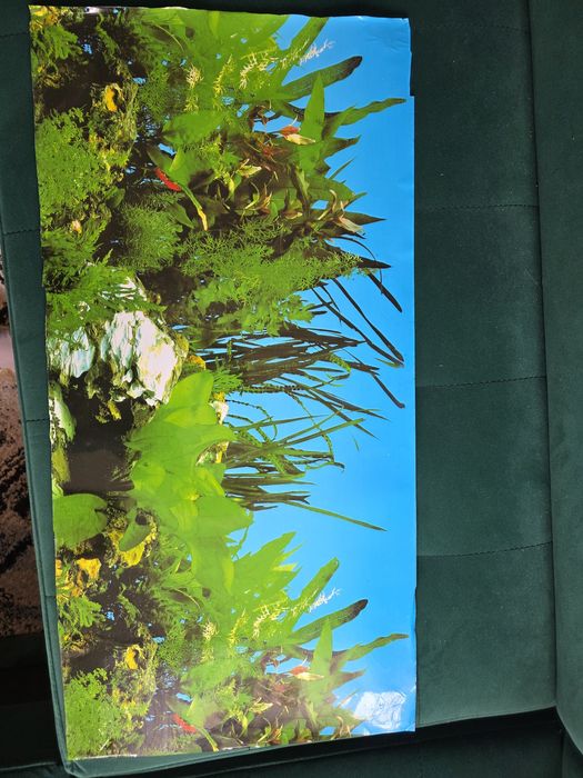 Akwarium panoramiczne z szafką 112l