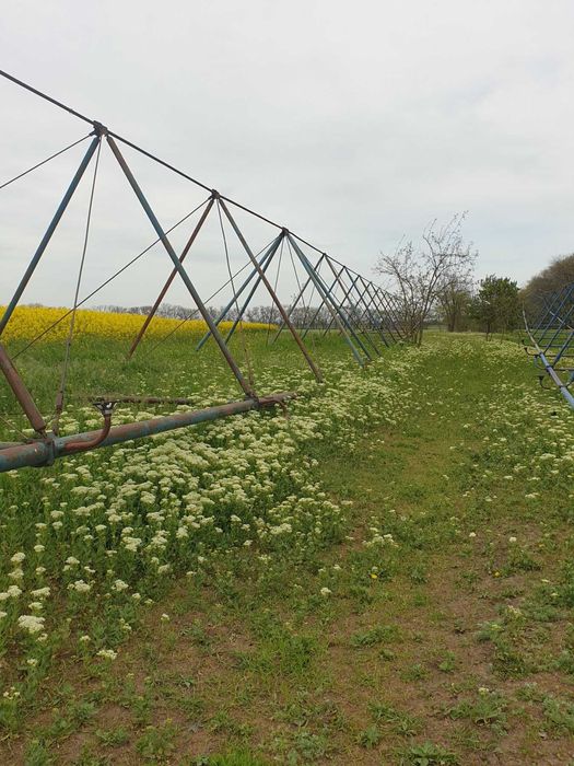 ВгТЗ ДТ-75 1994 в рабочем состоянии