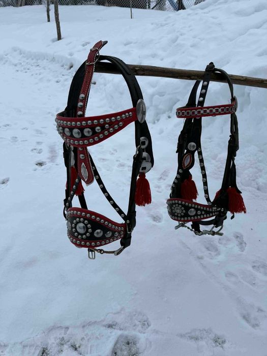 Uzda / kantar na konia