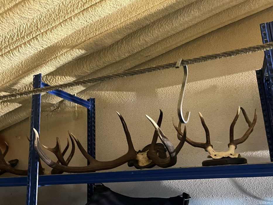 Conjunto de trofeus de caça