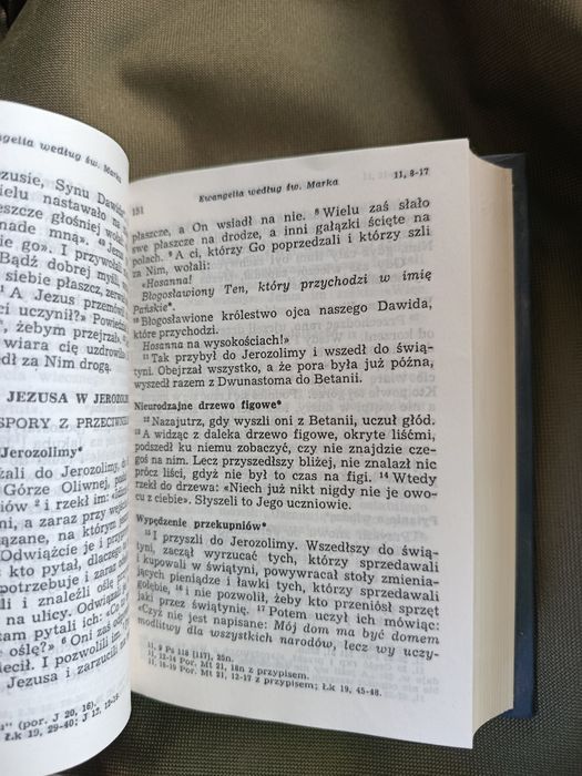 Pismo Święte Nowego Testamentu Pallottinun