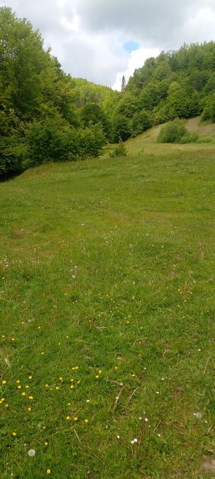 продам земельну ділянку в мальовничому Закарпатті