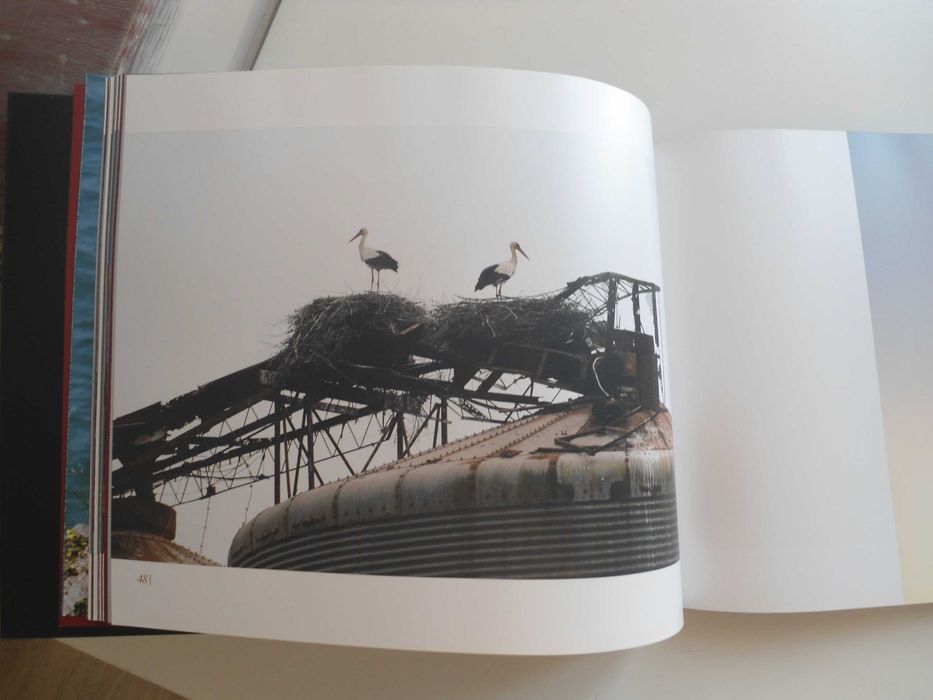 O Silêncio das Cegonhas de Carlos Inácio e Pedro Inácio