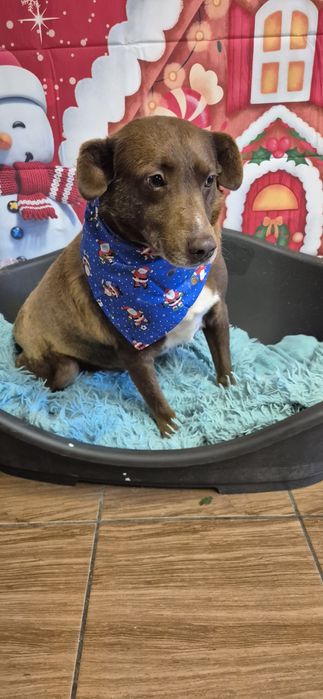 Piasek około siedem lat