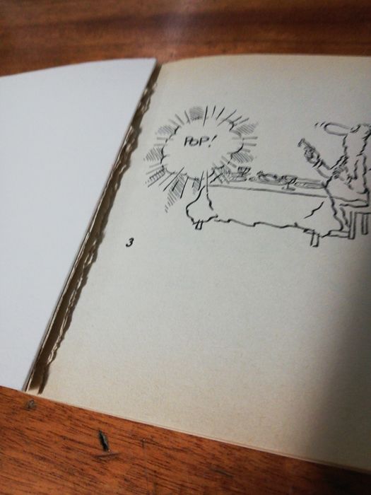 Livro os fanáticos do sexo
