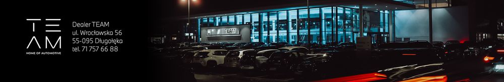 Dealer TEAM top banner