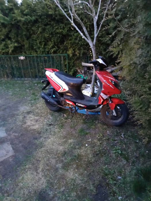 Toros EL Loco 50