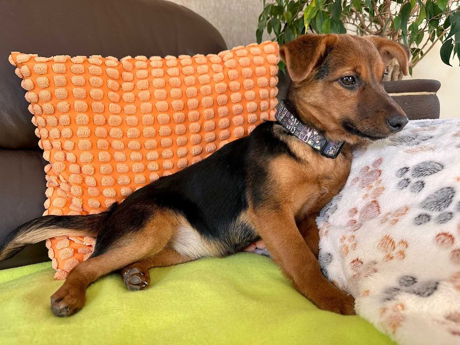 Urocza Zonia czeka na rodzinkę!