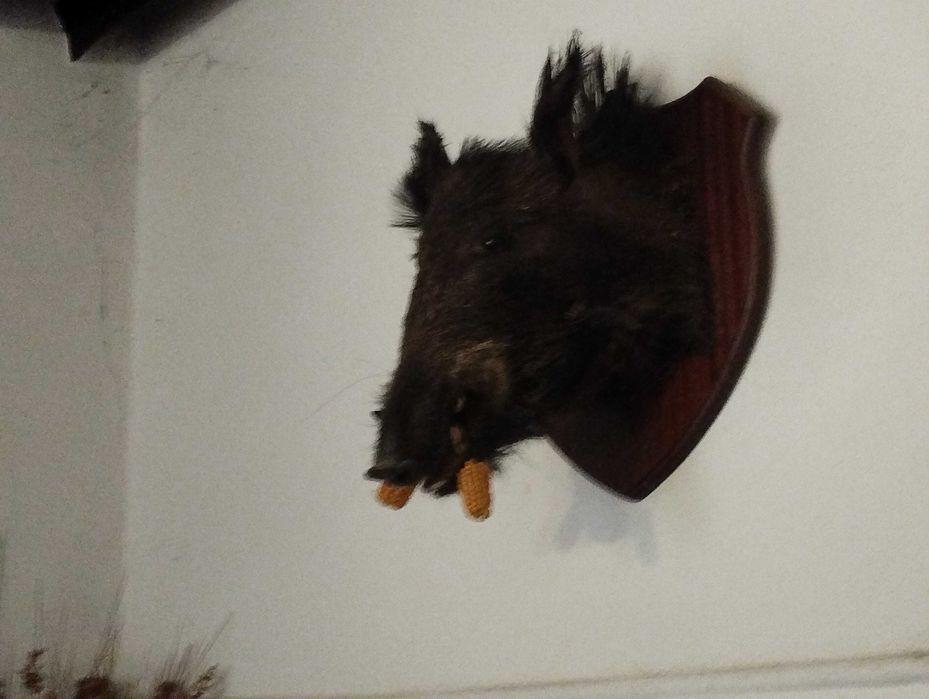 Cabeça de Veado decorativa
