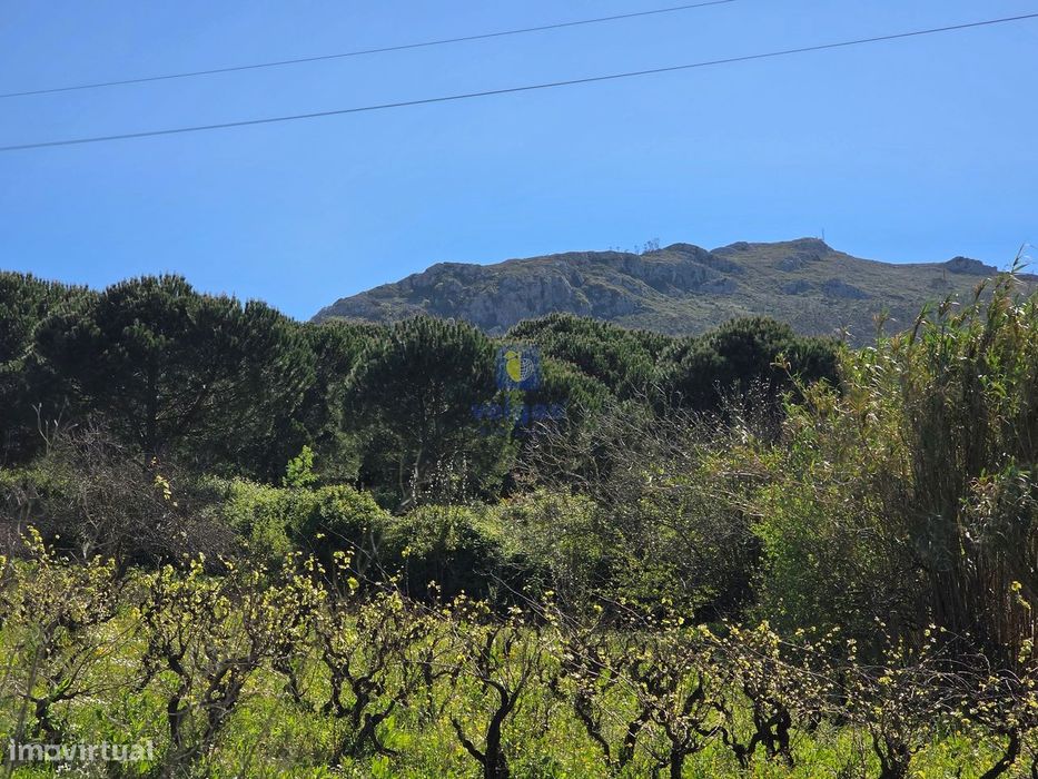 Plot of land measuring 2,200 m², with feasibility to build up to 1,806 m².