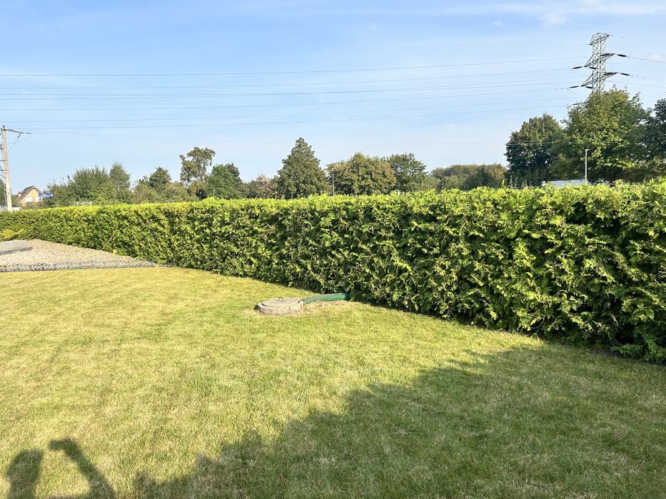 Przycinanie żywopłotów i wywóz gałęzi/ Wertykulacja  trawników