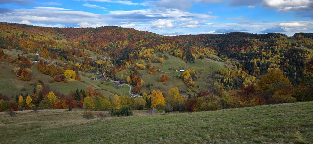 Drewniany domek do wynajęcia