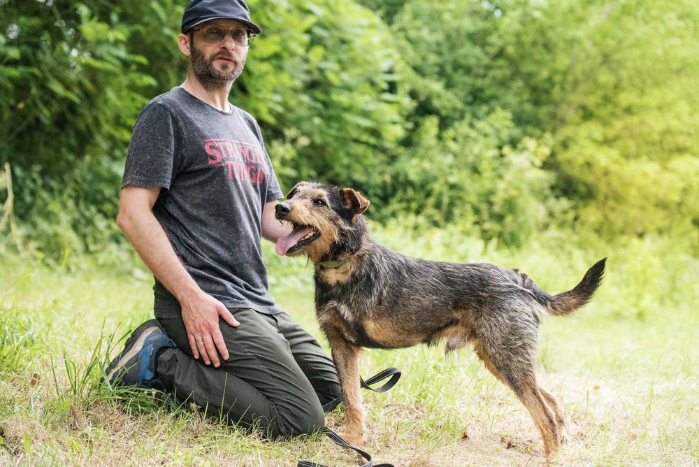 Wspaniały trójłapek w typie terriera - pokochaj Legora