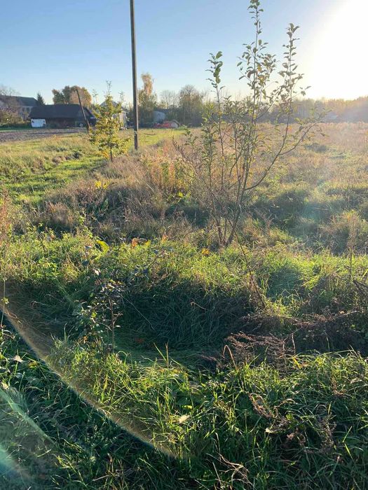 житловий будинок та земельна ділянка 46,5 сот