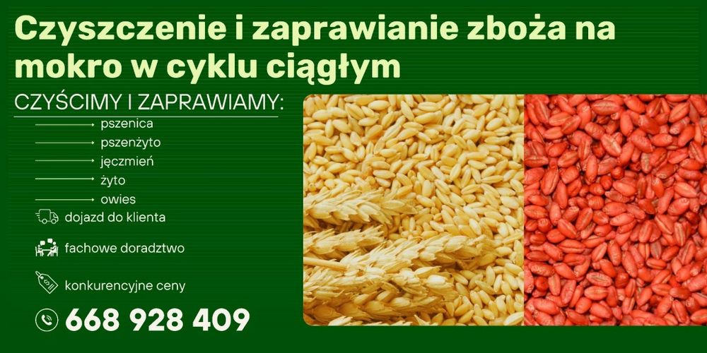 Promocja do 30.08 .Czyszczenie i zaprawianie zboża na mokro w cyklu ciągłym z dojazdem do klienta najniższe ceny super jakosc