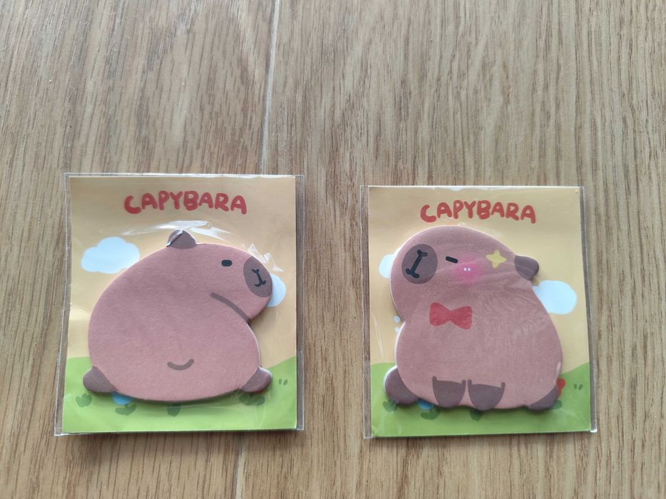 Karteczki kartki samoprzylepne kapibara capybara 2 sztuki