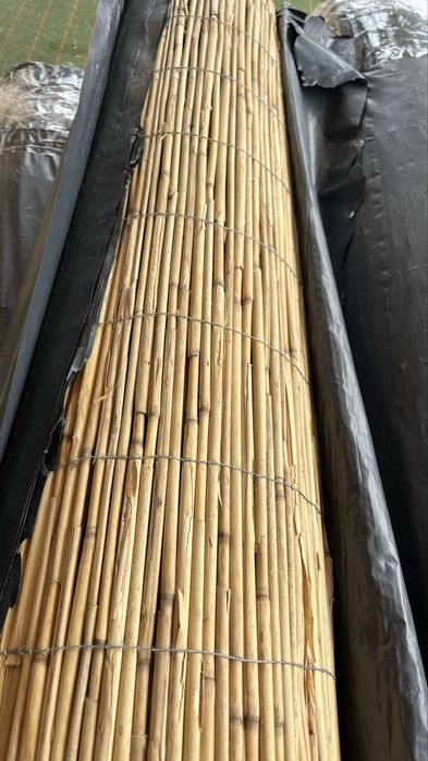 Продам камыш для забора