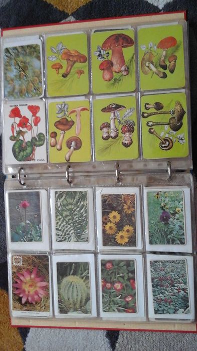 Vendo conjunto de 259 Calendários * Excelente estado *