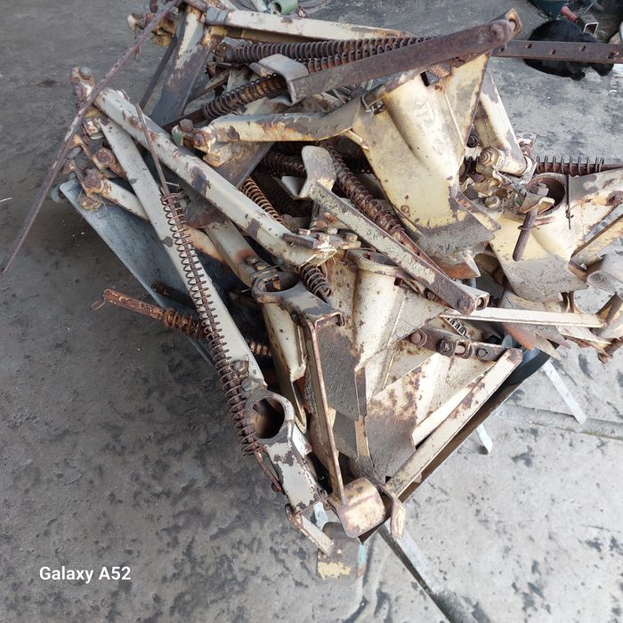 Redlice amazone d4 znaczniki