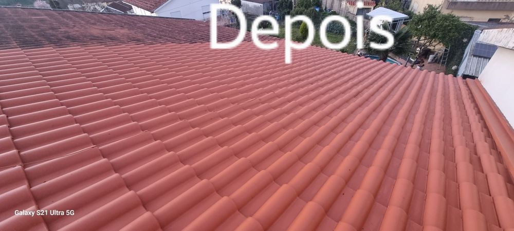 Lavagem, tratamento, rectificação, manutenção e pintura de telhados.