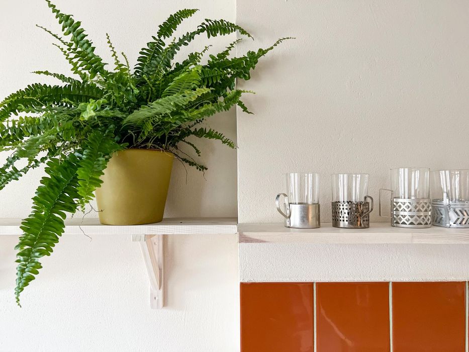 Apartament Antresola Stary Rynek.