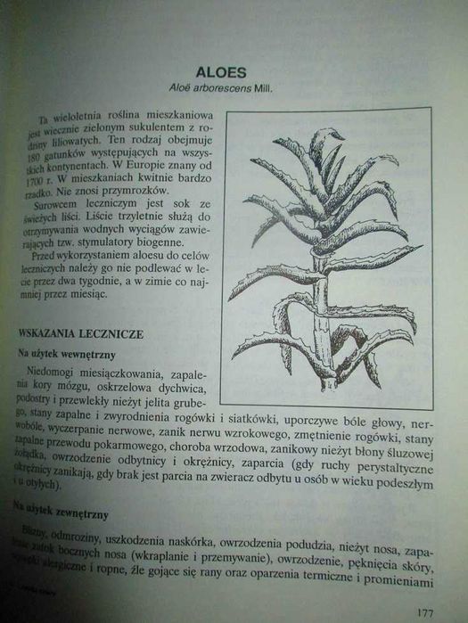 Apteka natury - Poradnik zdrowia - Górnicka/porady/medycyna naturalna