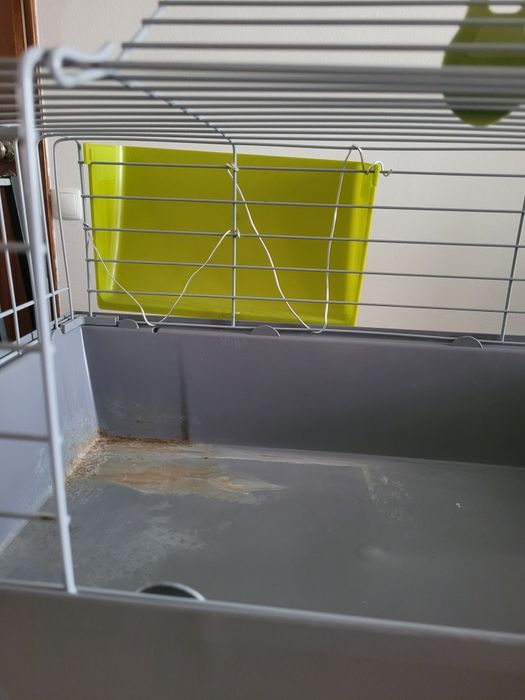 Gaiola para roedores animal estimação