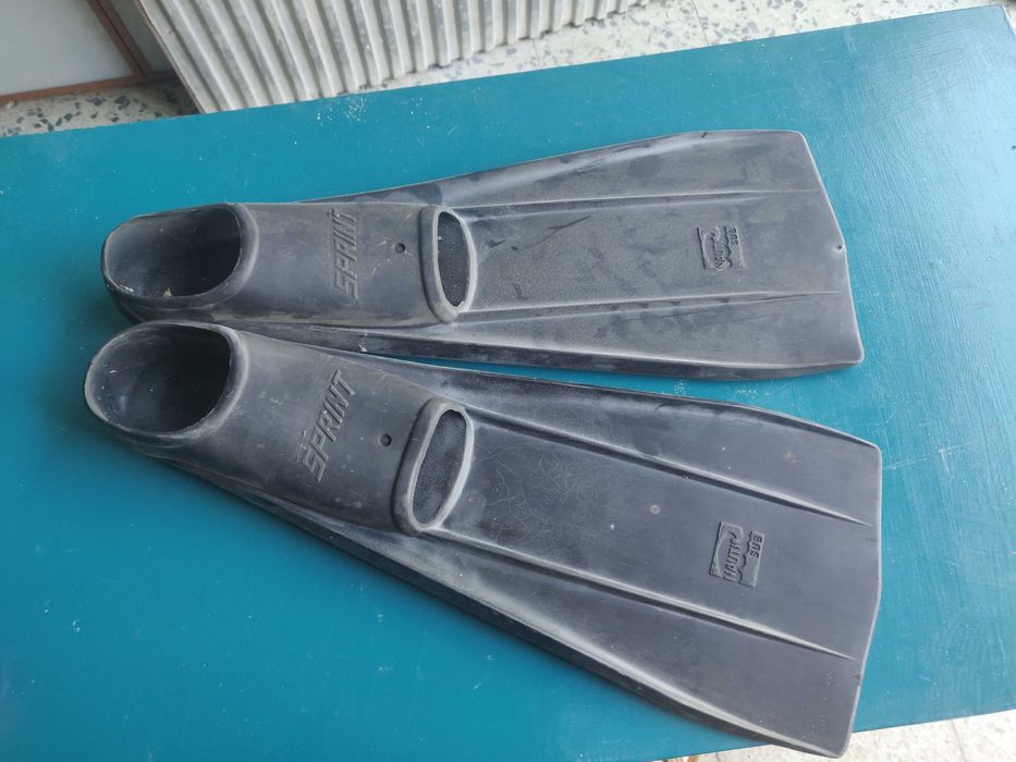 Barbatanas de adulto