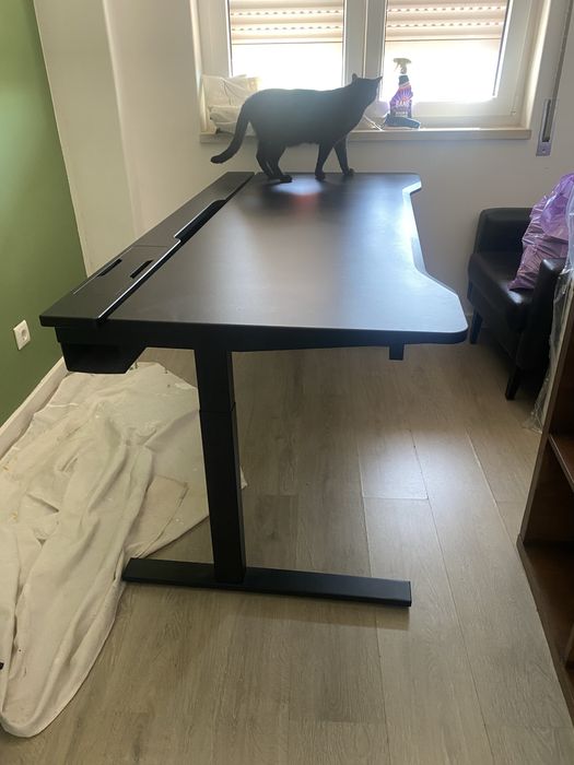 Secretaria como nova