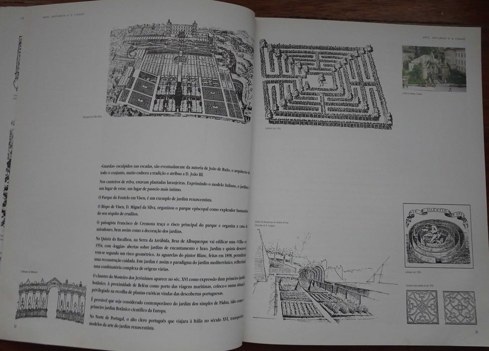 Arte Natureza e A Cidade