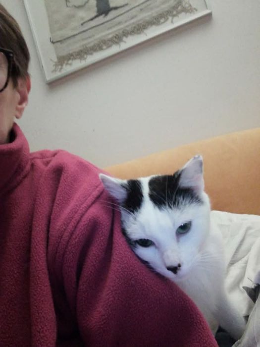 Cicha, łagodna i pełna miłości Perła do adopcji