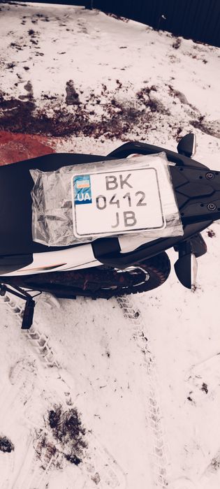 Продам Лонкін прус