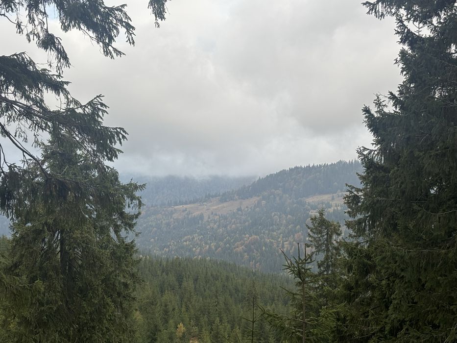 Аренда Буса микроавтобуса ( 8 мест) с водителем