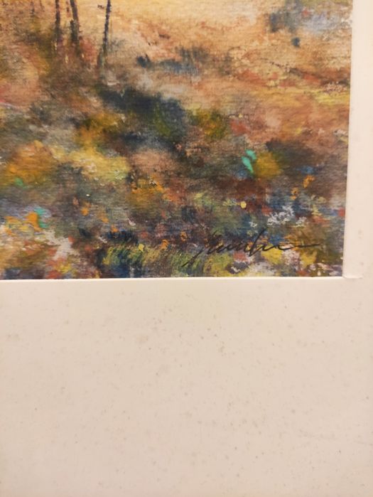 Xavier Galiza - pintura a aguarela