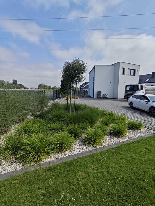Budynek biurowo-usługowy (62 m2, 124 m2)  do wynajęcia Odolanów od ZARAZ