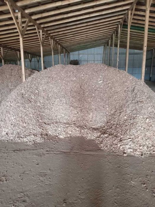 Продам щепу з сосни