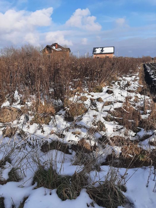 Продаж ділянки на Сихові ( р-н Зубри)