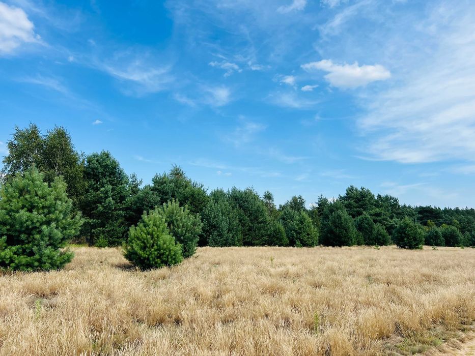 Działka budowlana z pozwoleniem na budowę i projektem domu