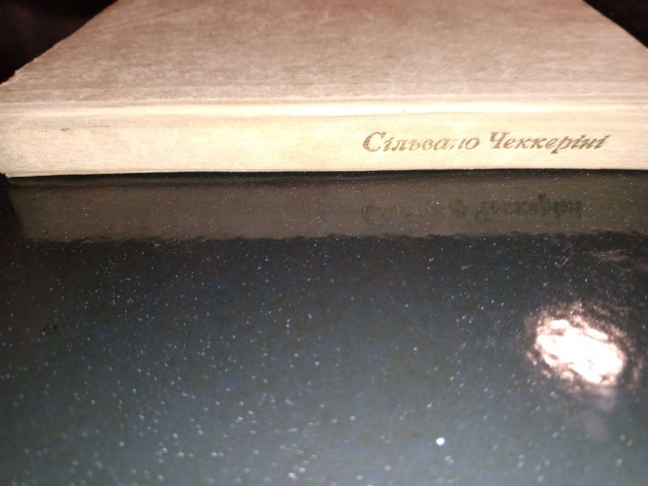 Книга 1973 р. Помилуваний смертю Сільвано Чеккеріні.