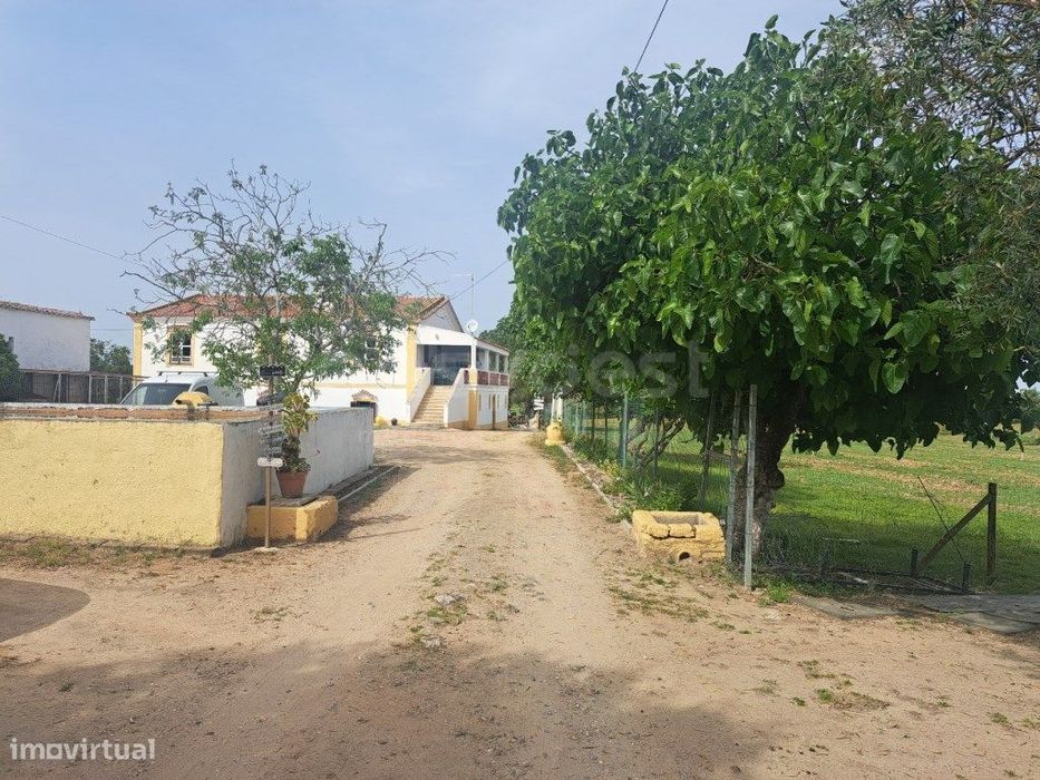 Fabulosa Quinta a 3 minutos da Cidade de Beja com área Privativa de...