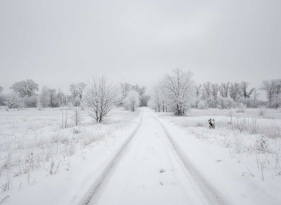 Продаж ділянки 9,82сот (ОСГ). Грунтовий під'їзд. Неподалік ліс. ID:715