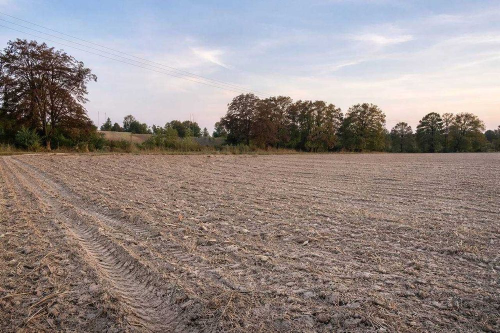 ТЕРМІНОВИЙ ПРОДАЖ ДІЛЯНКИ Оброшине, пів гектара!