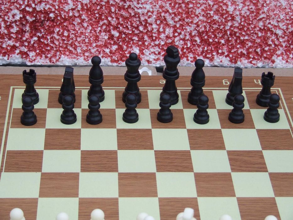 Шашки/Шахматы/нарды 3 в 1/деревянная доска/шахи/chess