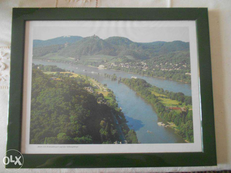 Quadro64861307256450120