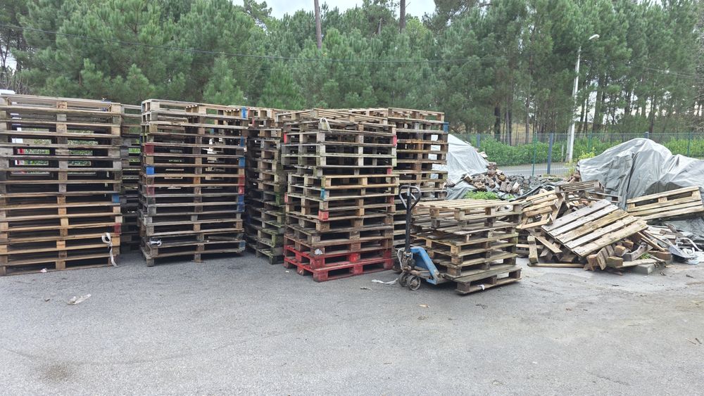 Paletes de Madeira
