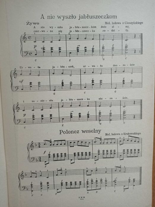 Nuty na akordeon etiudy Skarbczyk akordeonisty