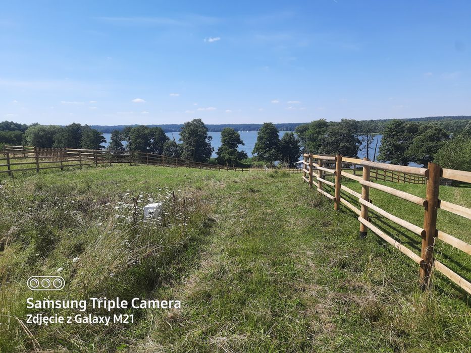 Ogrodzenie  drewniane , panel,słupek,siatka