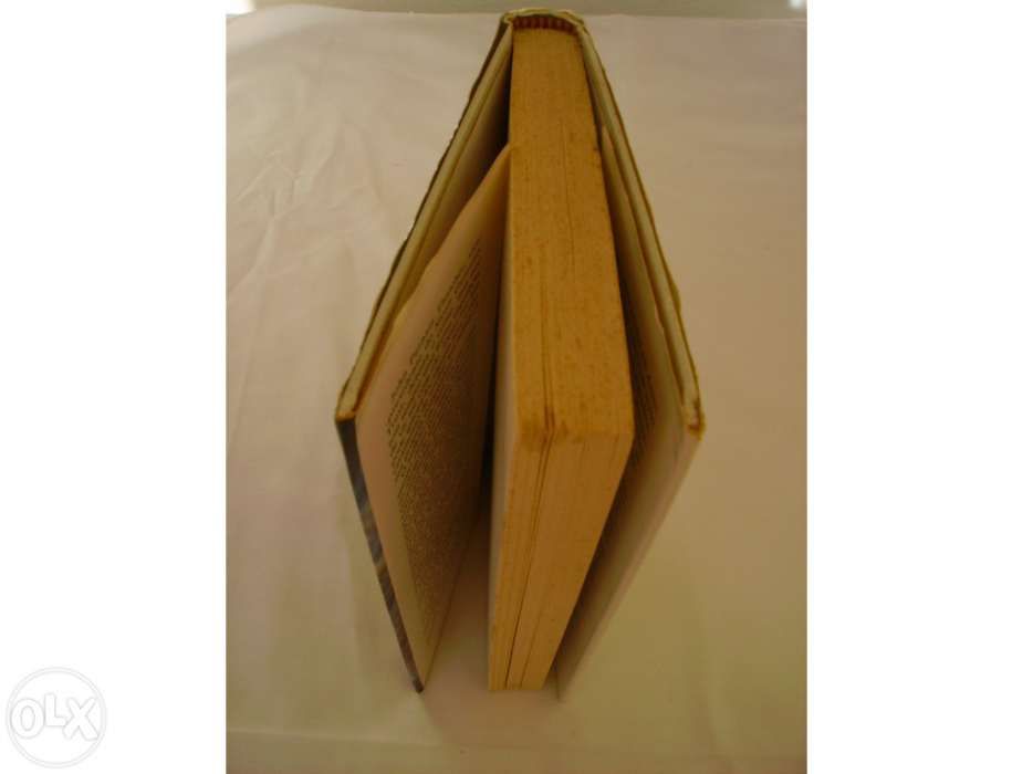 Assassínio Involuntário - Emma Lathen