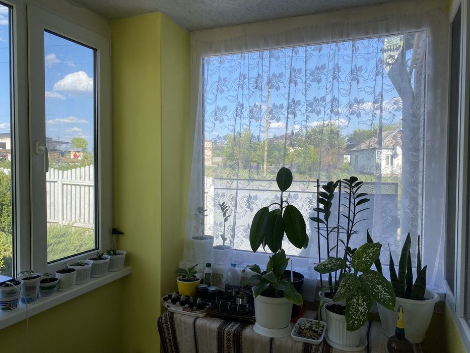 Продаж будинку с.Миколаївка