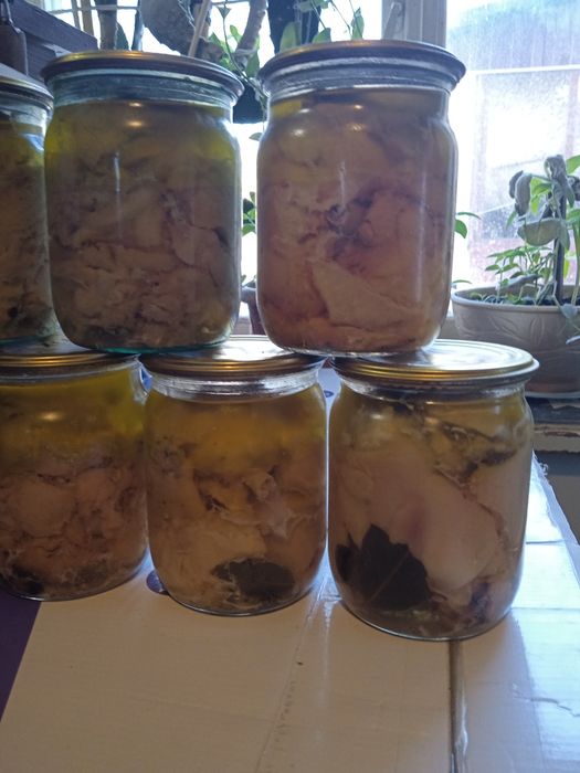 Тушонка бройлеров